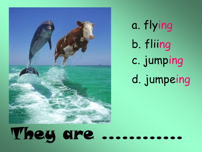 They are ………… a. flying b. fliing c. jumping d. jumpeing